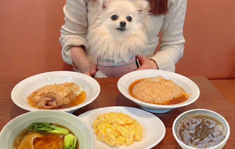 こだわりのフカヒレ料理とゆめちゃん