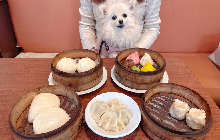 食べ放題料理とゆめちゃん1