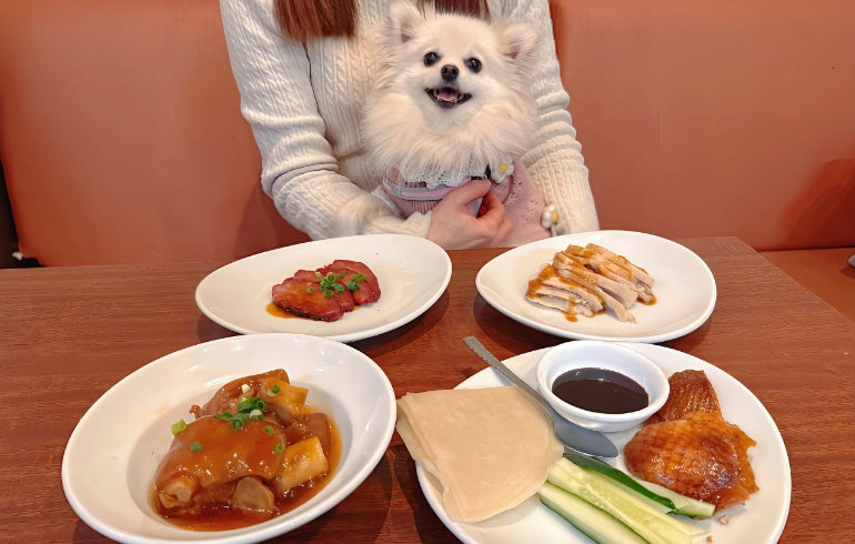 食べ放題料理とゆめちゃん2