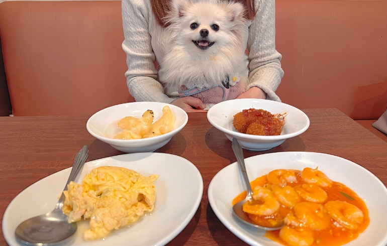 食べ放題料理とゆめちゃん3