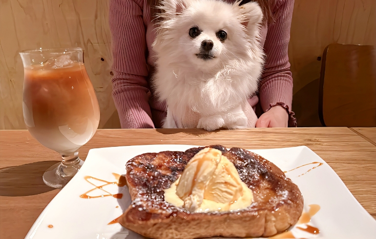 コーヒーのフレンチトーストとゆめちゃん