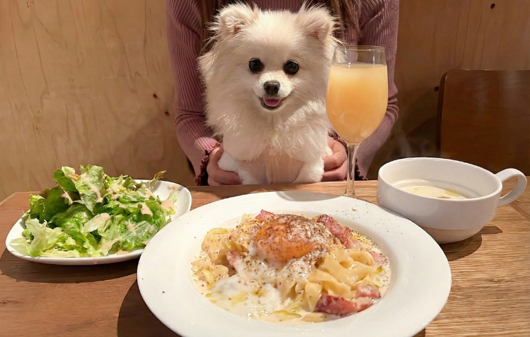 お得なセットメニューとゆめちゃん