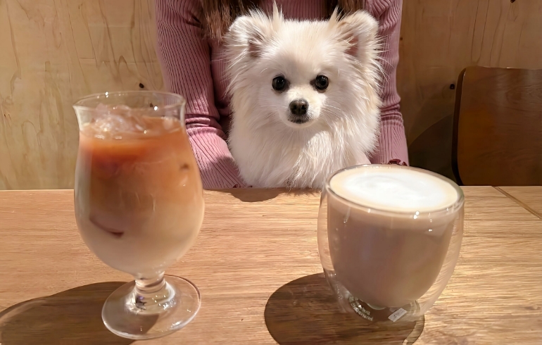 カフェラテとゆめちゃん