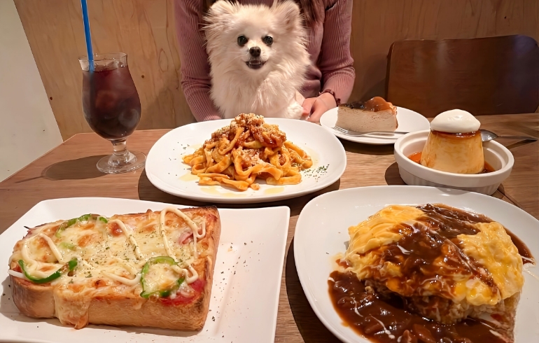 料理各種とゆめちゃん