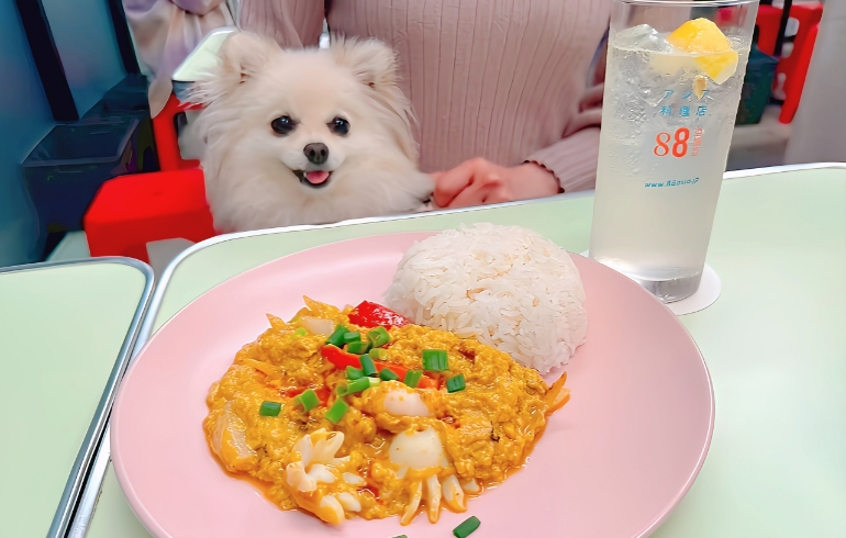 ふわとろバッボンカレーとゆめちゃん