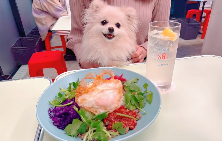 ASIAN トーバーライスとゆめちゃん