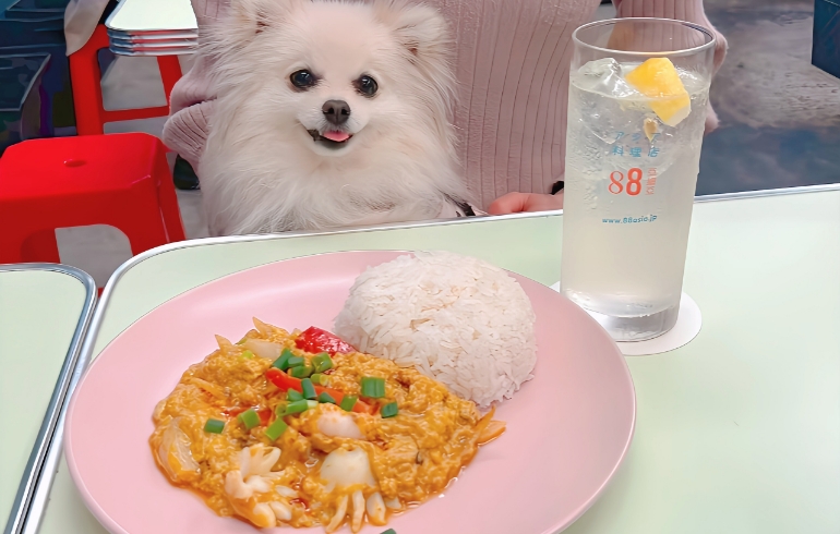 海老とイカのふわとろバッポンカレー