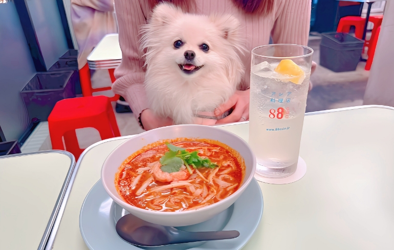 トムヤムフォーとゆめちゃん