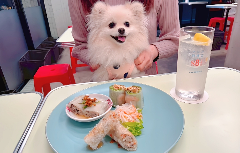 春巻き3種盛り合わせとゆめちゃん