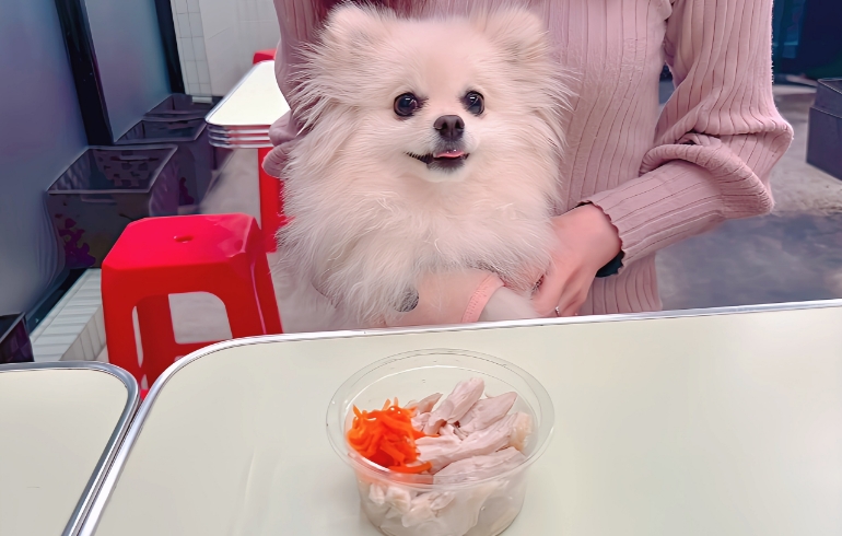 ボイルササミとゆめちゃん