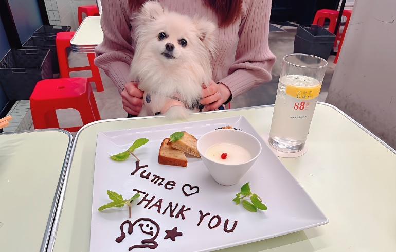 デザートプレートとゆめちゃん