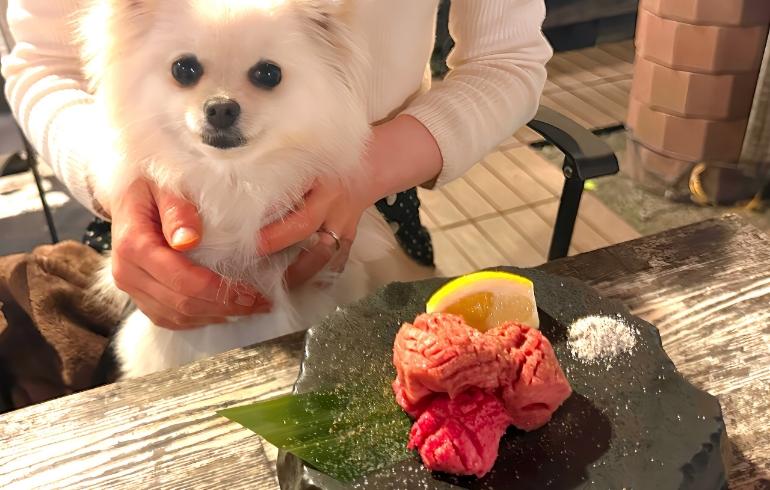 ハラミ