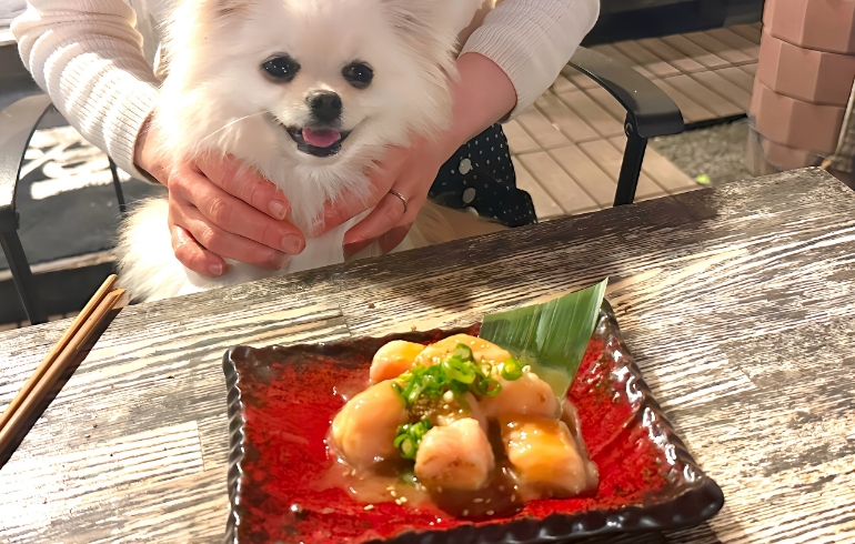 ホルモン1