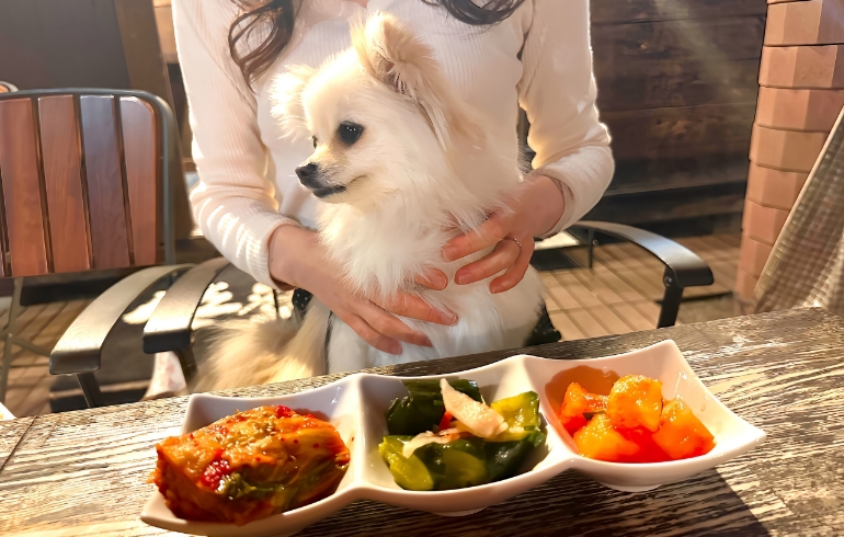 キムチ盛り合わせ