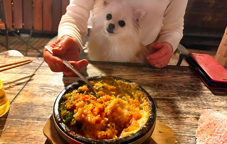 石焼きチーズビビンバ2