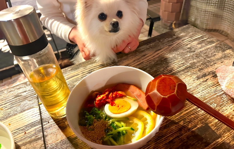 冷麺