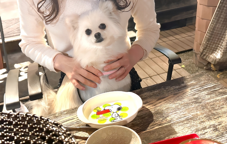 お水サービス