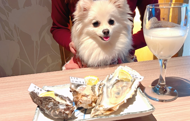生牡蠣の盛り合わせとゆめちゃん