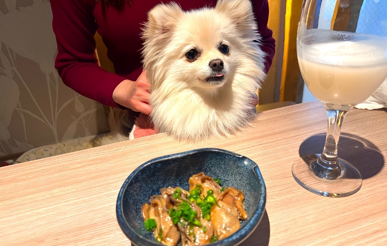 牡蠣のしぐれ煮とゆめちゃん