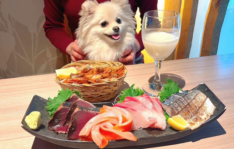 お造りの盛り合わせと海老の唐揚げ
