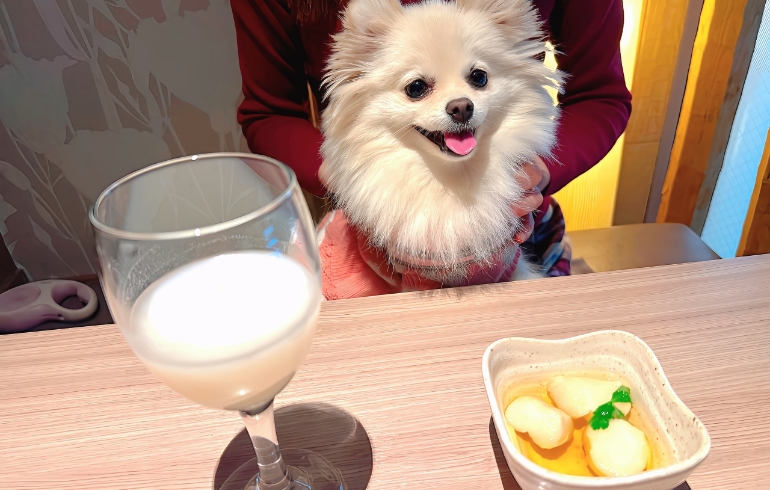 日本酒とお通し