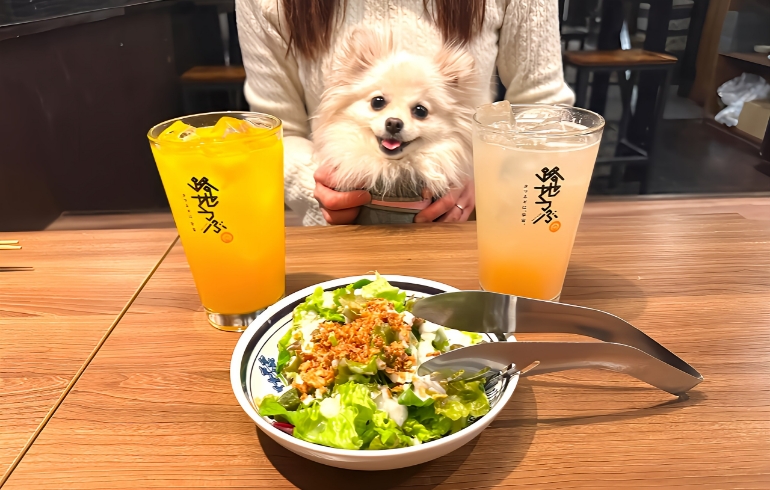 お通しサラダ