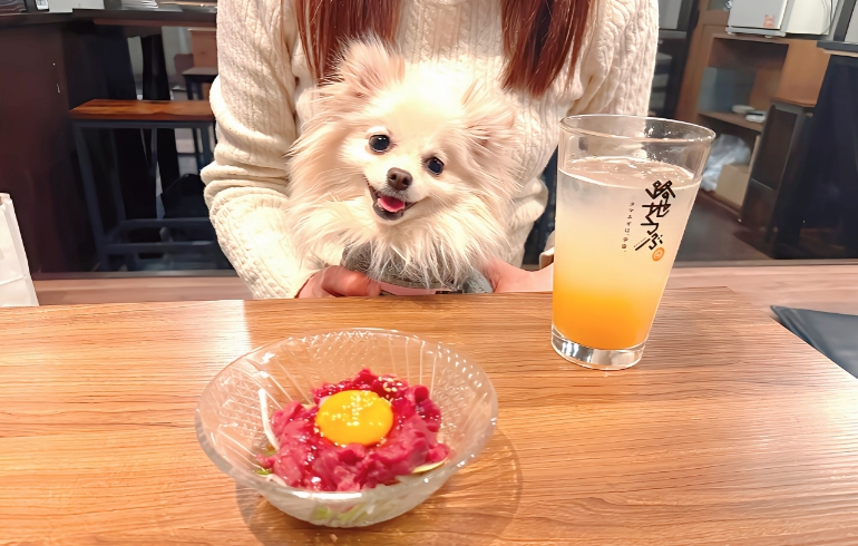馬肉ユッケ1