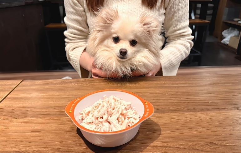 ワンちゃん用のご飯
