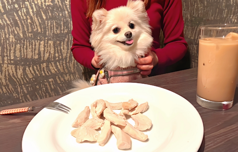 ワンちゃんのご飯