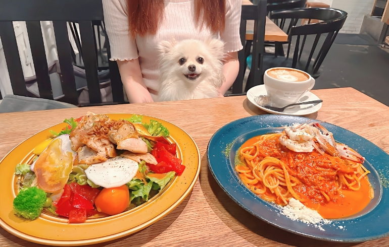 渡り蟹のトマトクリームソースとグリルチキンのサラダライスとゆめちゃん