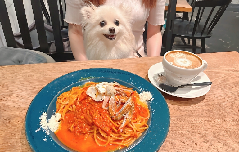 渡りガニのトマトクリームパスタとゆめちゃん