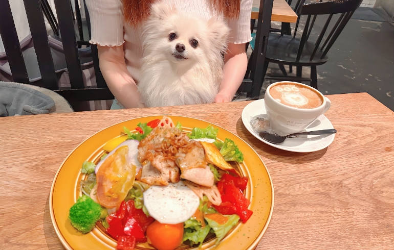グリルチキンのサラダライス 〜特製コブドレッシング〜とゆめちゃん
