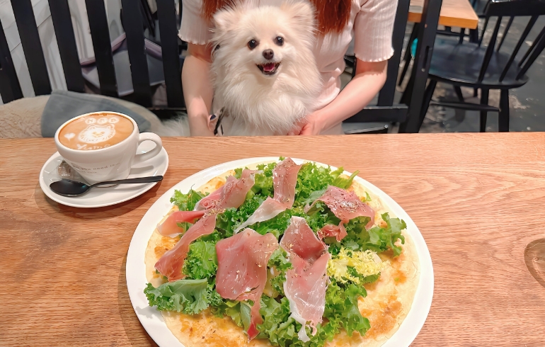 生ハムとハーブのバーニャサラダピザとゆめちゃん