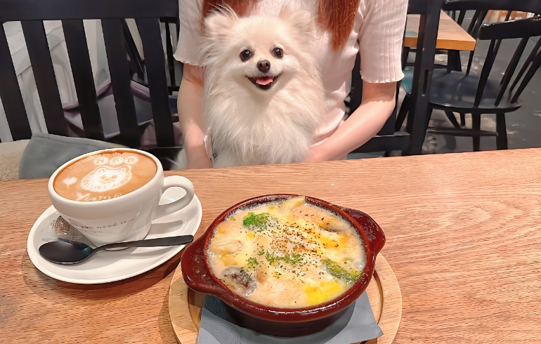 エビとペンネのクリームグラタンとゆめちゃん