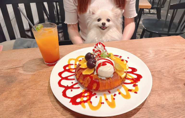 自家製のパンケーキとゆめちゃん