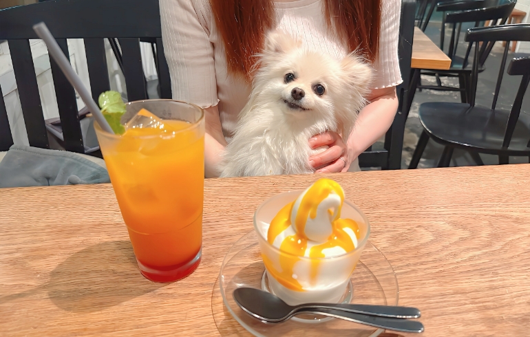 ヨーグルトソフトとゆめちゃん