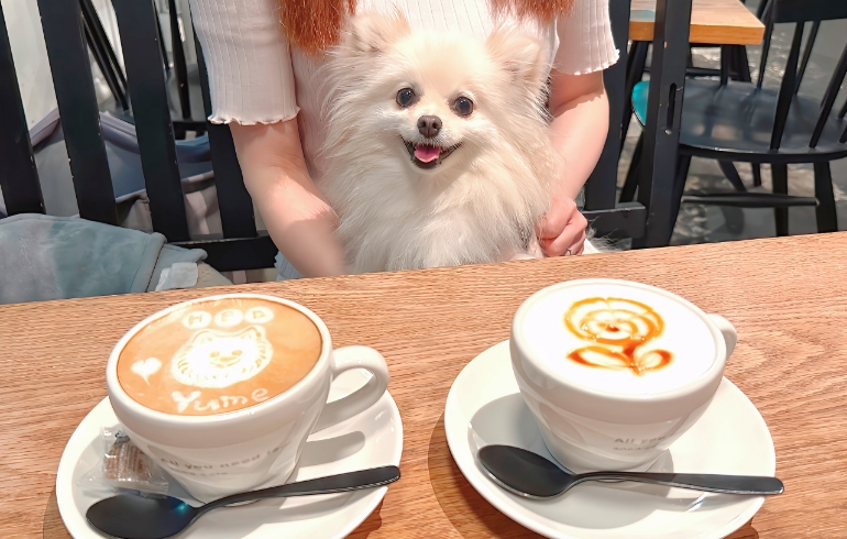 カフェラテ２種とゆめちゃん