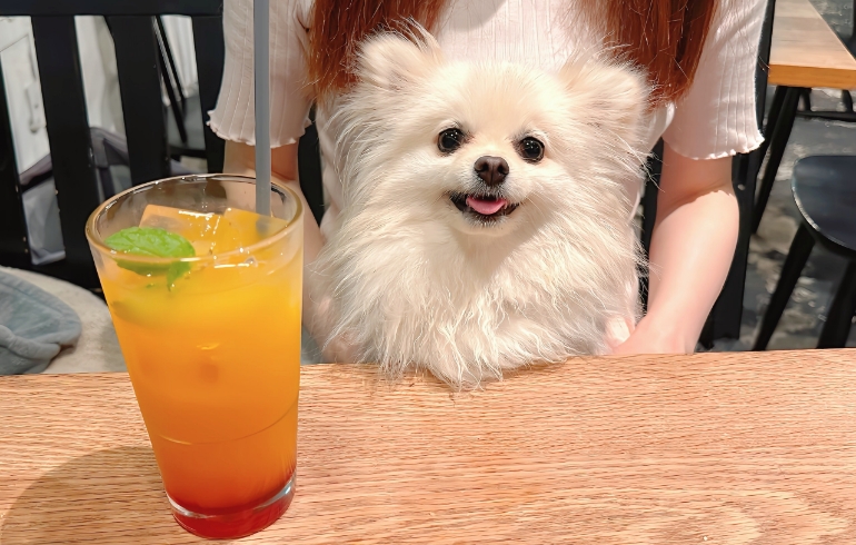 ハーブティー