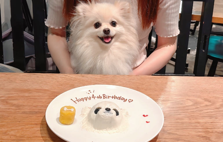似顔絵ケーキとゆめちゃん