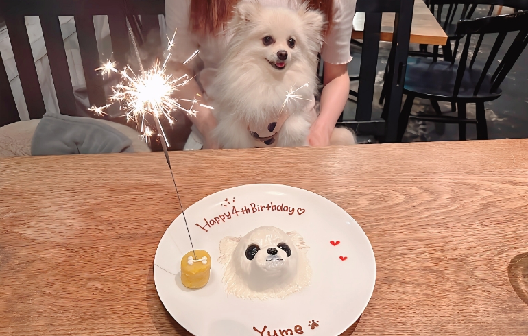 似顔絵ケーキとゆめちゃんと花火