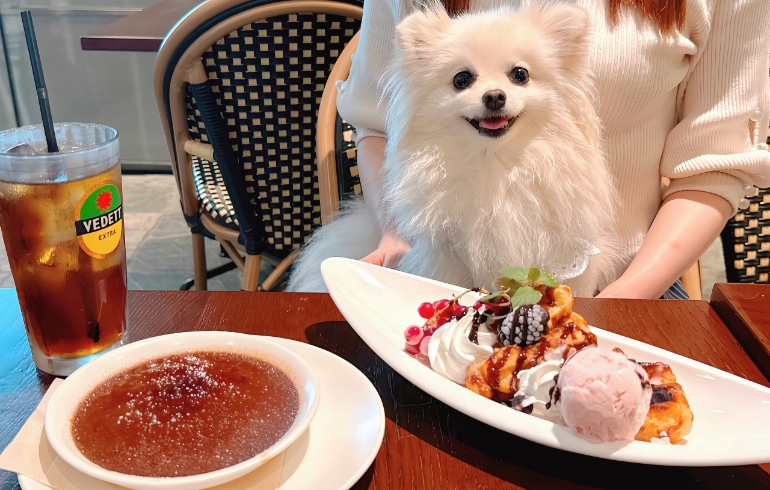 リエージュ風ワッフルとベルギーチョコのクレームブリュレ