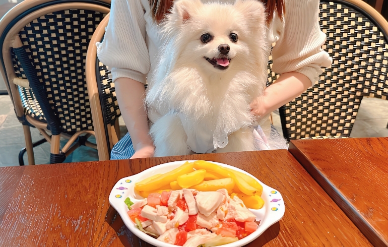ワンちゃん用お料理