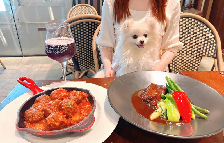 樽生ベルギービールと料理２種とゆめちゃん
