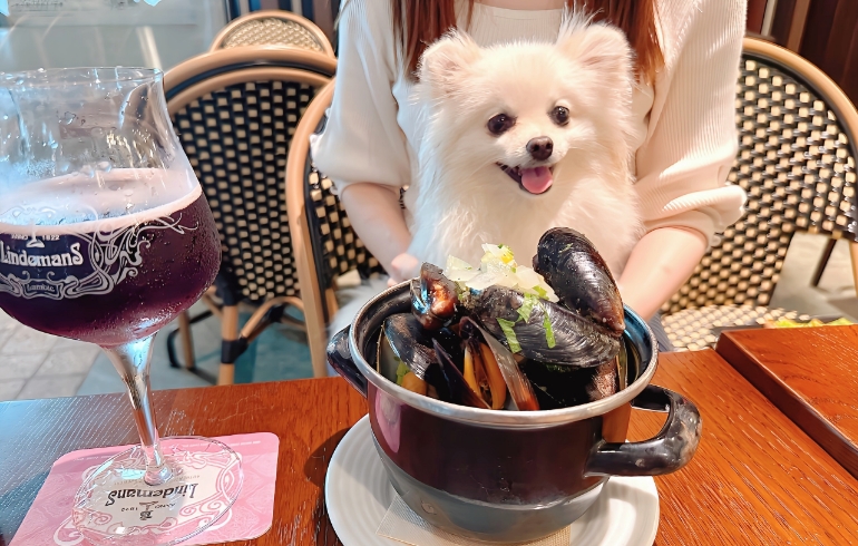 キャセロール蒸し（ムール貝）とゆめちゃんアップ