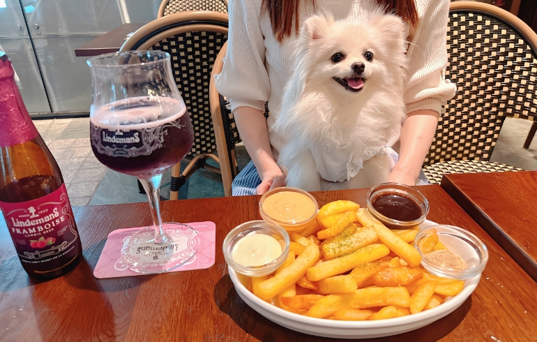 ベルギー産フライドポテト