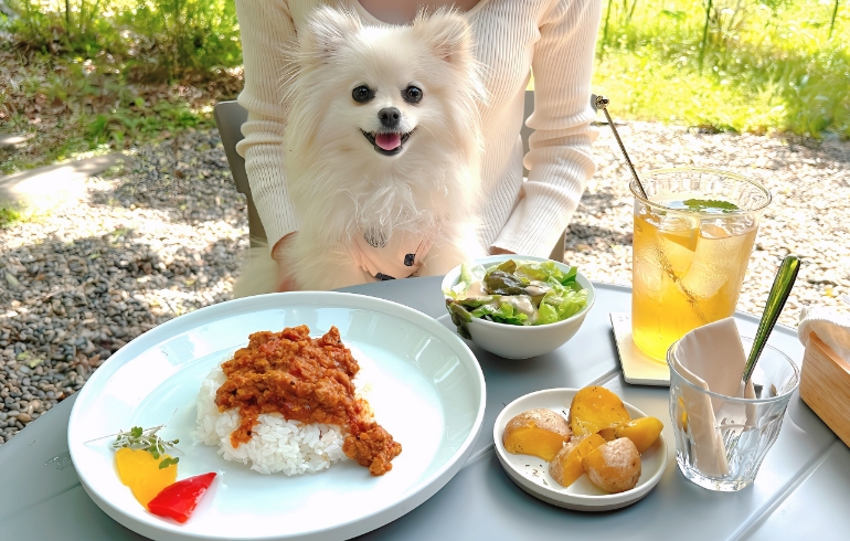 キーマカレー