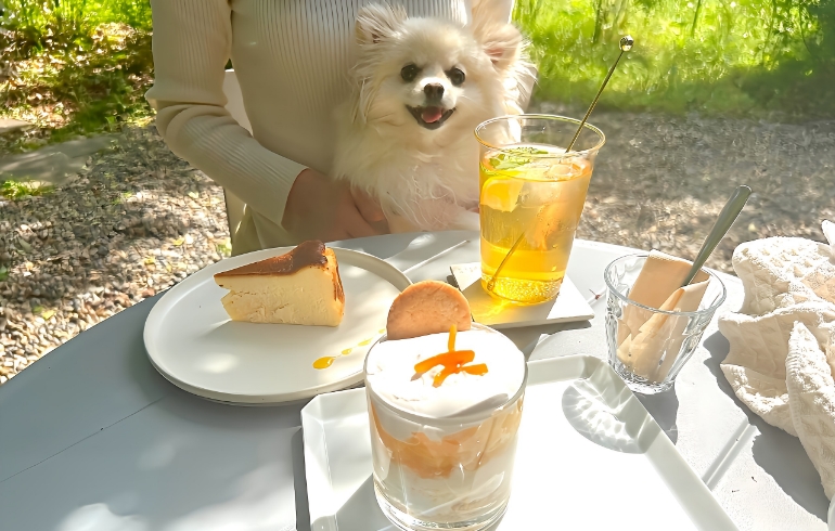 デザートとゆめちゃん