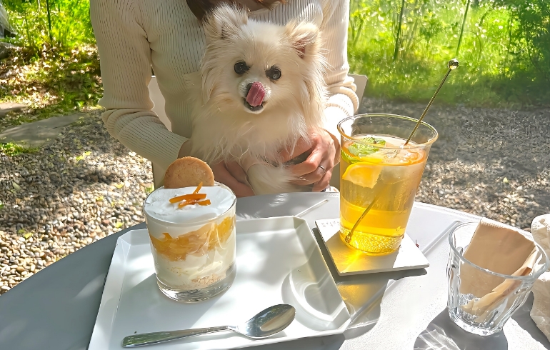 パフェとゆめちゃん