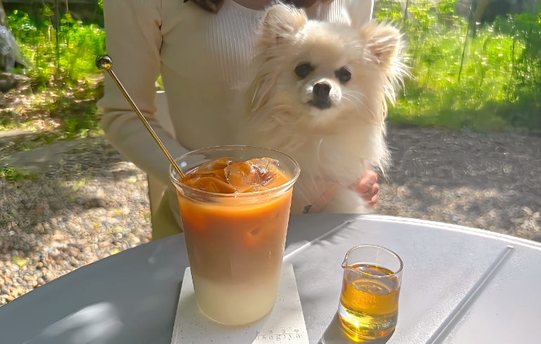 コーヒー
