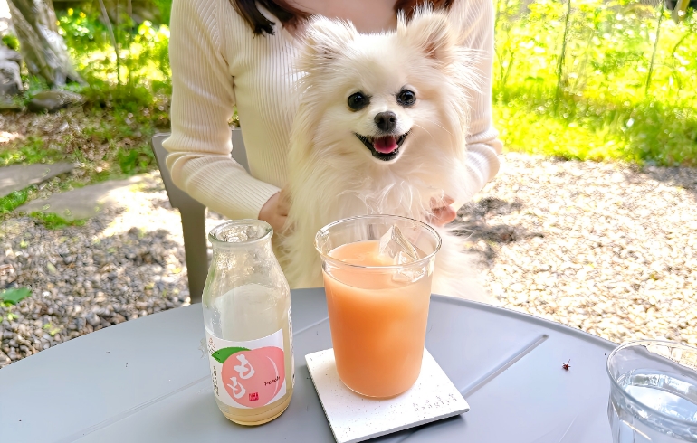こだわりのフルーツジュース